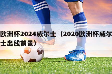 欧洲杯2024威尔士（2020欧洲杯威尔士出线前景）