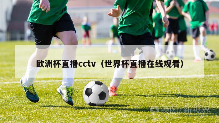 欧洲杯直播cctv（世界杯直播在线观看）