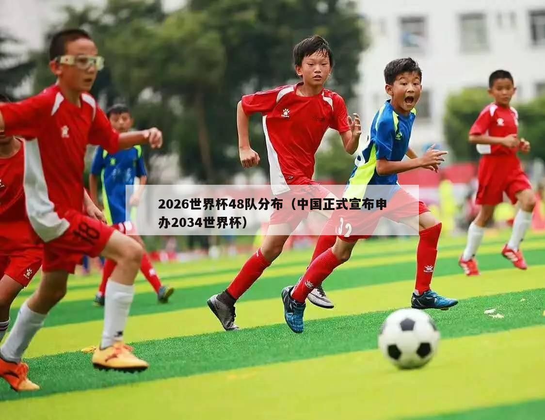 2026世界杯48队分布（中国正式宣布申办2034世界杯）